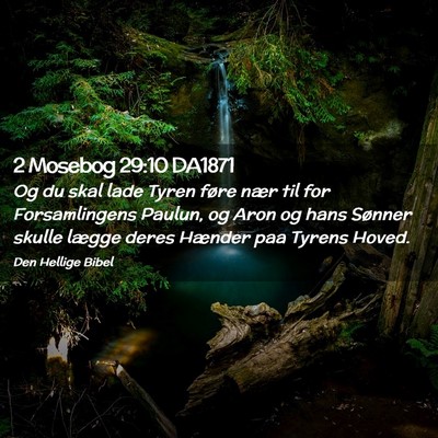 Picture 02 - 2 Mosebog 29:10 DA1871 - Og du skal lade Tyren føre nær til for - Bible Verse Picture