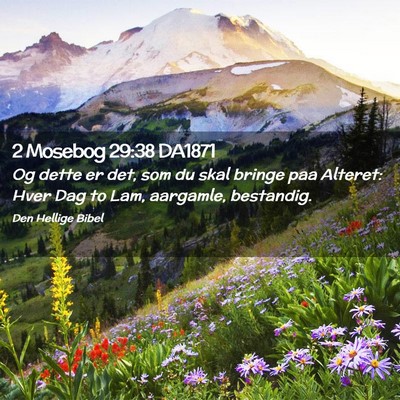 Picture 02 - 2 Mosebog 29:38 DA1871 - Og dette er det, som du skal bringe paa Alteret: - Bible Verse Picture