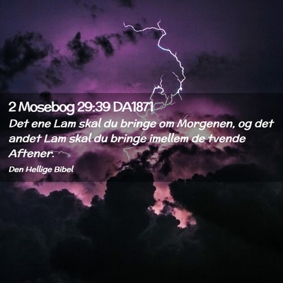 Picture 02 - 2 Mosebog 29:39 DA1871 - Det ene Lam skal du bringe om Morgenen, og det - Bible Verse Picture