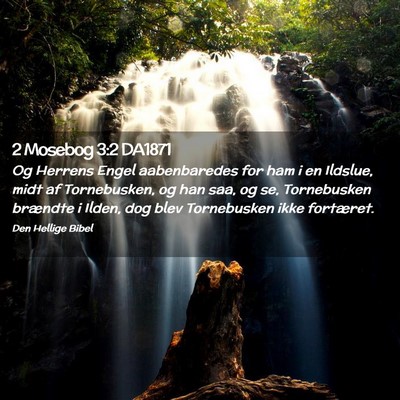 Picture 02 - 2 Mosebog 3:2 DA1871 - Og Herrens Engel aabenbaredes for ham i en - Bible Verse Picture