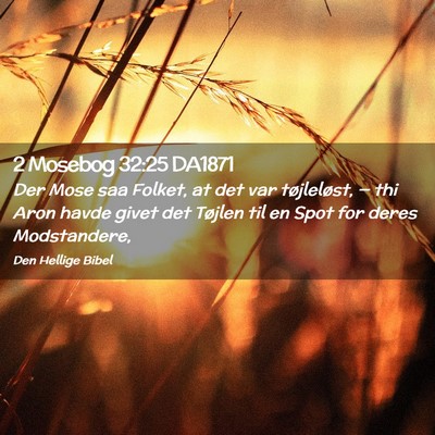 Picture 02 - 2 Mosebog 32:25 DA1871 - Der Mose saa Folket, at det var tøjleløst, — - Bible Verse Picture
