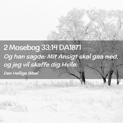 Picture 02 - 2 Mosebog 33:14 DA1871 - Og han sagde: Mit Ansigt skal gaa med, og jeg vil - Bible Verse Picture
