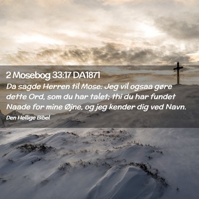 Picture 02 - 2 Mosebog 33:17 DA1871 - Da sagde Herren til Mose: Jeg vil ogsaa gøre - Bible Verse Picture