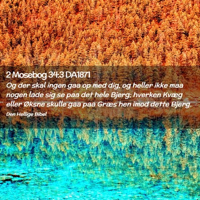 Picture 02 - 2 Mosebog 34:3 DA1871 - Og der skal ingen gaa op med dig, og heller ikke - Bible Verse Picture