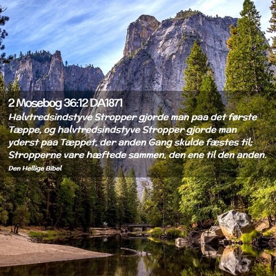 Picture 02 - 2 Mosebog 36:12 DA1871 - Halvtredsindstyve Stropper gjorde man paa det - Bible Verse Picture