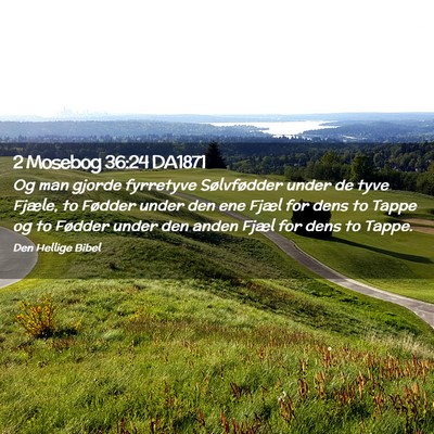 Picture 02 - 2 Mosebog 36:24 DA1871 - Og man gjorde fyrretyve Sølvfødder under de - Bible Verse Picture