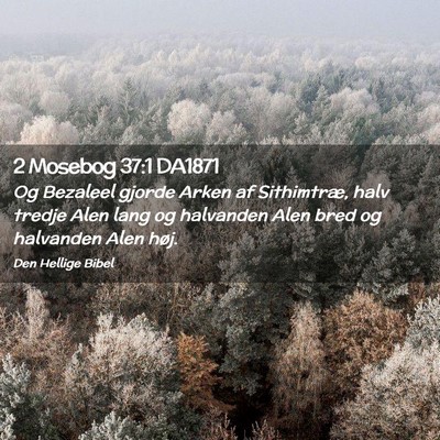 Picture 02 - 2 Mosebog 37:1 DA1871 - Og Bezaleel gjorde Arken af Sithimtræ, halv - Bible Verse Picture