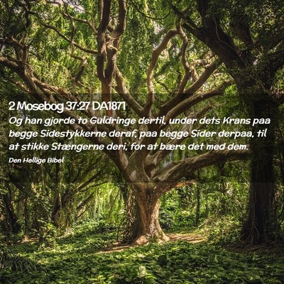 Picture 02 - 2 Mosebog 37:27 DA1871 - Og han gjorde to Guldringe dertil, under dets - Bible Verse Picture