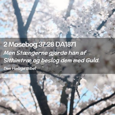 Picture 02 - 2 Mosebog 37:28 DA1871 - Men Stængerne gjorde han af Sithimtræ og beslog - Bible Verse Picture