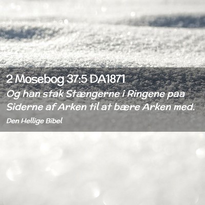 Picture 02 - 2 Mosebog 37:5 DA1871 - Og han stak Stængerne i Ringene paa Siderne af - Bible Verse Picture