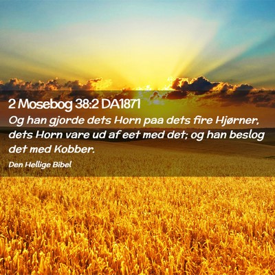Picture 02 - 2 Mosebog 38:2 DA1871 - Og han gjorde dets Horn paa dets fire Hjørner, - Bible Verse Picture
