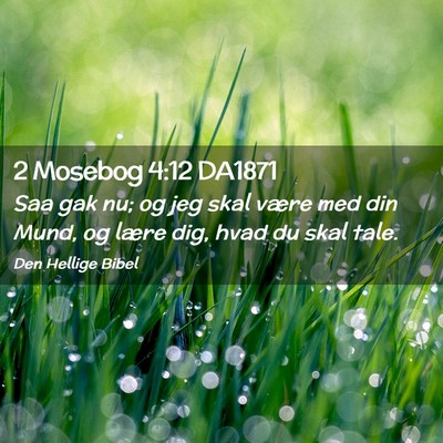 Picture 02 - 2 Mosebog 4:12 DA1871 - Saa gak nu; og jeg skal være med din Mund, og - Bible Verse Picture