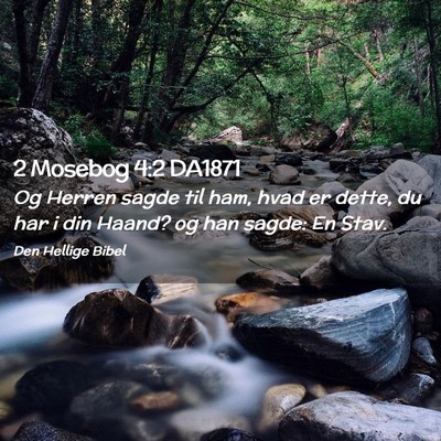 Picture 02 - 2 Mosebog 4:2 DA1871 - Og Herren sagde til ham, hvad er dette, du har i - Bible Verse Picture