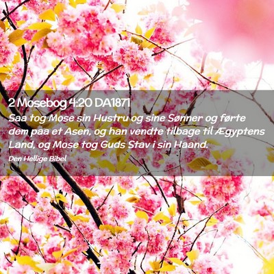 Picture 02 - 2 Mosebog 4:20 DA1871 - Saa tog Mose sin Hustru og sine Sønner og førte - Bible Verse Picture