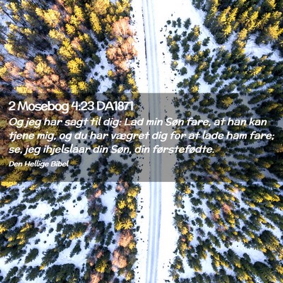 Picture 02 - 2 Mosebog 4:23 DA1871 - Og jeg har sagt til dig: Lad min Søn fare, at - Bible Verse Picture