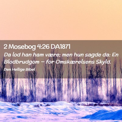Picture 02 - 2 Mosebog 4:26 DA1871 - Da lod han ham være; men hun sagde da: En - Bible Verse Picture