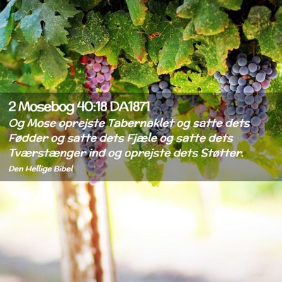 Picture 02 - 2 Mosebog 40:18 DA1871 - Og Mose oprejste Tabernaklet og satte dets - Bible Verse Picture