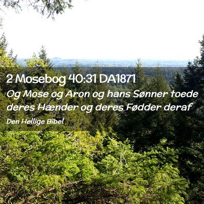 Picture 02 - 2 Mosebog 40:31 DA1871 - Og Mose og Aron og hans Sønner toede deres - Bible Verse Picture