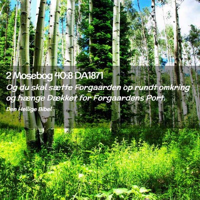 Picture 02 - 2 Mosebog 40:8 DA1871 - Og du skal sætte Forgaarden op rundt omkring og - Bible Verse Picture