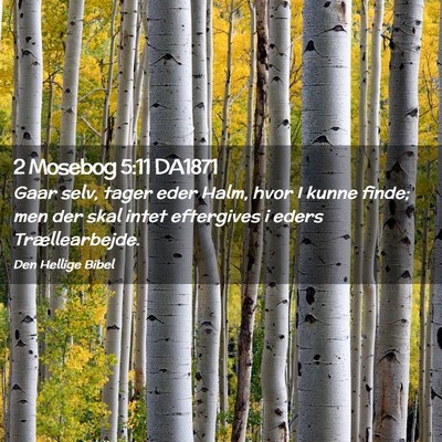 Picture 02 - 2 Mosebog 5:11 DA1871 - Gaar selv, tager eder Halm, hvor I kunne finde; - Bible Verse Picture