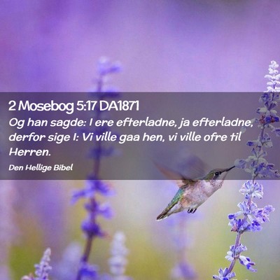 Picture 02 - 2 Mosebog 5:17 DA1871 - Og han sagde: I ere efterladne, ja efterladne, - Bible Verse Picture