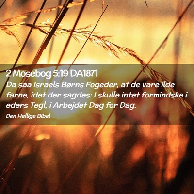 Picture 02 - 2 Mosebog 5:19 DA1871 - Da saa Israels Børns Fogeder, at de vare ilde - Bible Verse Picture