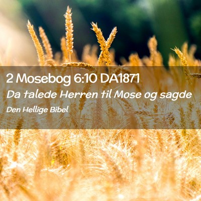 Picture 02 - 2 Mosebog 6:10 DA1871 - Da talede Herren til Mose og - Bible Verse Picture