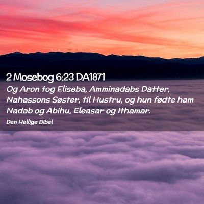 Picture 02 - 2 Mosebog 6:23 DA1871 - Og Aron tog Eliseba, Amminadabs Datter, Nahassons - Bible Verse Picture