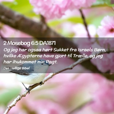 Picture 02 - 2 Mosebog 6:5 DA1871 - Og jeg har ogsaa hørt Sukket fra Israels Børn, - Bible Verse Picture