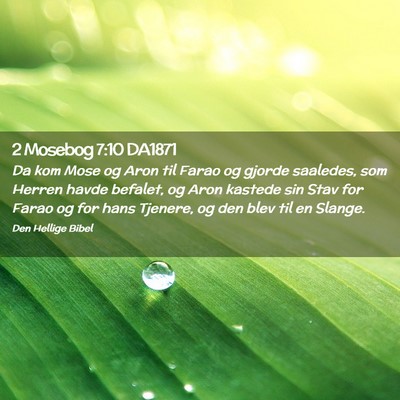 Picture 02 - 2 Mosebog 7:10 DA1871 - Da kom Mose og Aron til Farao og gjorde saaledes, - Bible Verse Picture