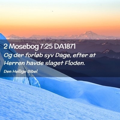 Picture 02 - 2 Mosebog 7:25 DA1871 - Og der forløb syv Dage, efter at Herren havde - Bible Verse Picture