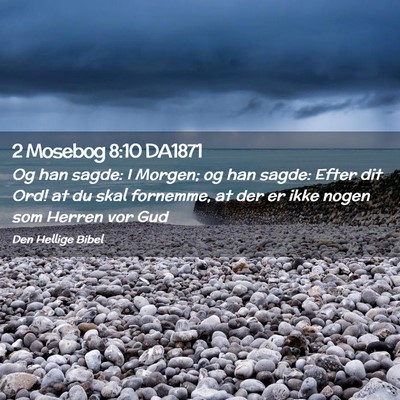 Picture 02 - 2 Mosebog 8:10 DA1871 - Og han sagde: I Morgen; og han sagde: Efter dit - Bible Verse Picture