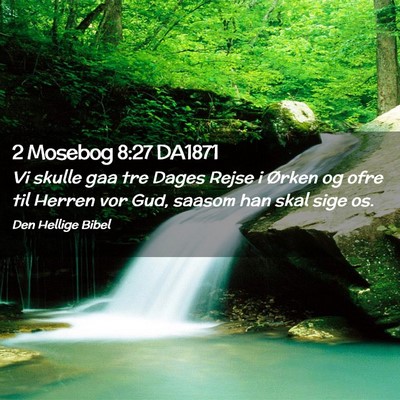 Picture 02 - 2 Mosebog 8:27 DA1871 - Vi skulle gaa tre Dages Rejse i Ørken og ofre - Bible Verse Picture