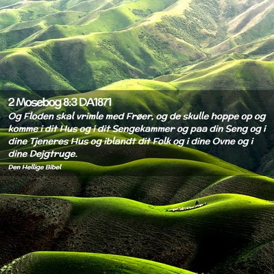 Picture 02 - 2 Mosebog 8:3 DA1871 - Og Floden skal vrimle med Frøer, og de skulle - Bible Verse Picture