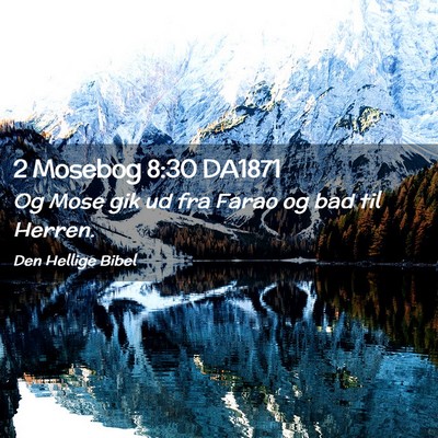 Picture 02 - 2 Mosebog 8:30 DA1871 - Og Mose gik ud fra Farao og bad til - Bible Verse Picture
