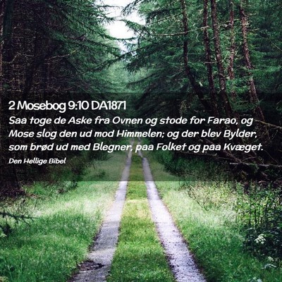 Picture 02 - 2 Mosebog 9:10 DA1871 - Saa toge de Aske fra Ovnen og stode for Farao, og - Bible Verse Picture