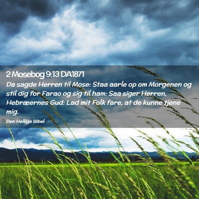 Picture 02 - 2 Mosebog 9:13 DA1871 - Da sagde Herren til Mose: Staa aarle op om - Bible Verse Picture