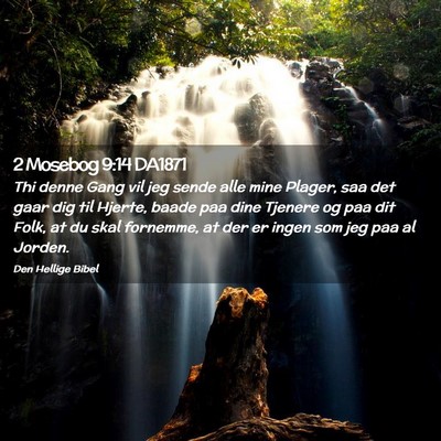 Picture 02 - 2 Mosebog 9:14 DA1871 - Thi denne Gang vil jeg sende alle mine Plager, - Bible Verse Picture
