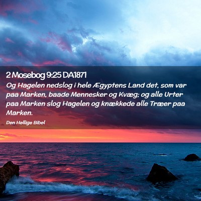Picture 02 - 2 Mosebog 9:25 DA1871 - Og Hagelen nedslog i hele Ægyptens Land det, som - Bible Verse Picture
