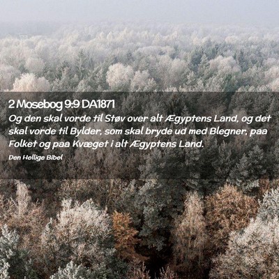 Picture 02 - 2 Mosebog 9:9 DA1871 - Og den skal vorde til Støv over alt Ægyptens - Bible Verse Picture