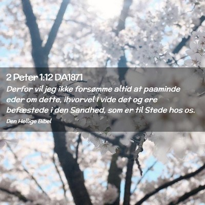 Picture 02 - 2 Peter 1:12 DA1871 - Derfor vil jeg ikke forsømme altid at paaminde - Bible Verse Picture