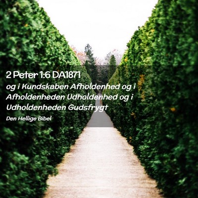 Picture 02 - 2 Peter 1:6 DA1871 - og i Kundskaben Afholdenhed og i Afholdenheden - Bible Verse Picture