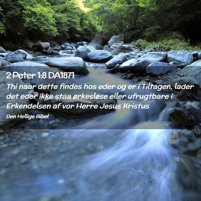 Picture 02 - 2 Peter 1:8 DA1871 - Thi naar dette findes hos eder og er i Tiltagen, - Bible Verse Picture