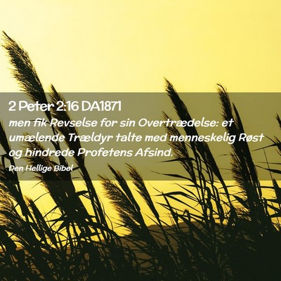 Picture 02 - 2 Peter 2:16 DA1871 - men fik Revselse for sin Overtrædelse: et - Bible Verse Picture