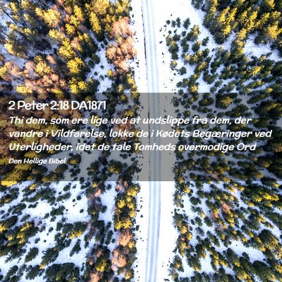 Picture 02 - 2 Peter 2:18 DA1871 - Thi dem, som ere lige ved at undslippe fra dem, - Bible Verse Picture