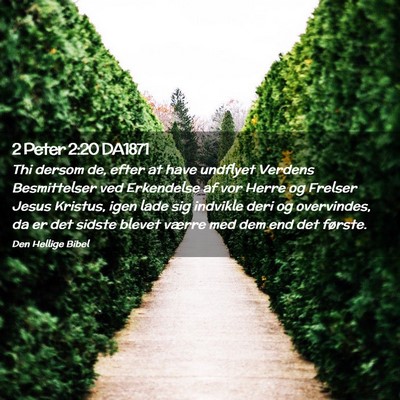 Picture 02 - 2 Peter 2:20 DA1871 - Thi dersom de, efter at have undflyet Verdens - Bible Verse Picture