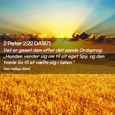 Picture 02 - 2 Peter 2:22 DA1871 - Det er gaaet dem efter det sande Ordsprog: - Bible Verse Picture