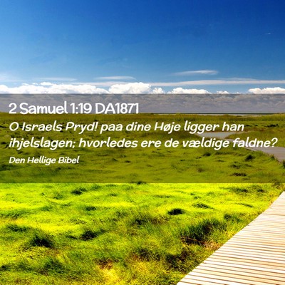 Picture 02 - 2 Samuel 1:19 DA1871 - O Israels Pryd! paa dine Høje ligger han - Bible Verse Picture