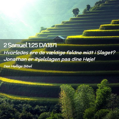 Picture 02 - 2 Samuel 1:25 DA1871 - Hvorledes ere de vældige faldne midt i Slaget? - Bible Verse Picture