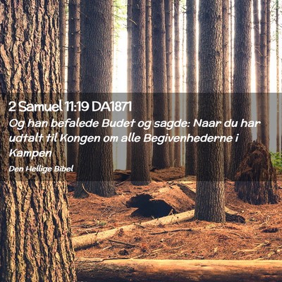 Picture 02 - 2 Samuel 11:19 DA1871 - Og han befalede Budet og sagde: Naar du har - Bible Verse Picture